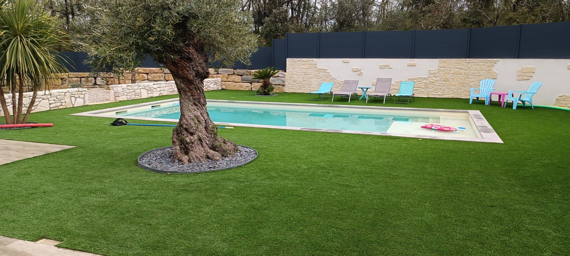 Piscine et olivier centenaire sur une pelouse en gazon synthétique