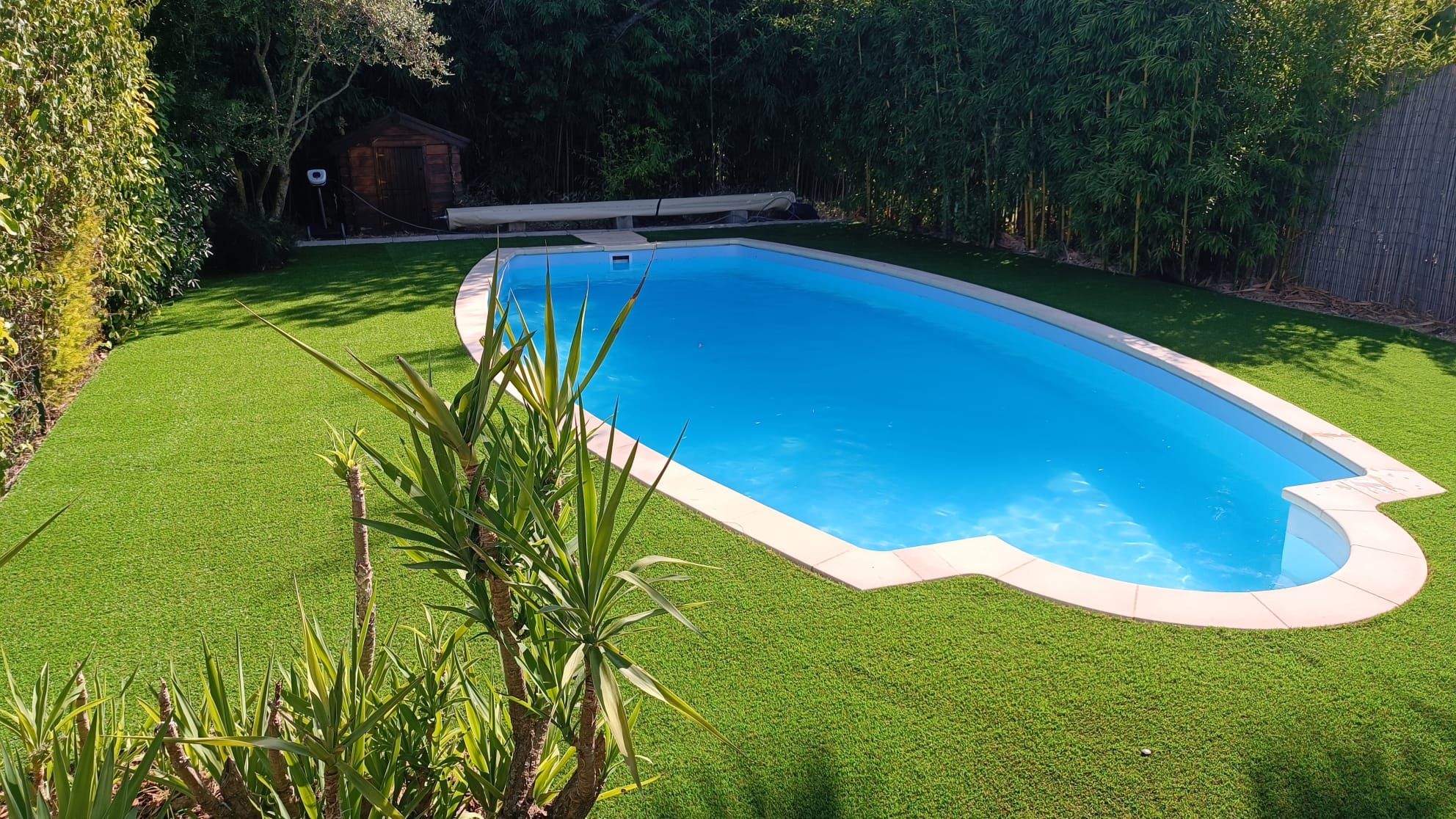 Piscine de forme libre entourée de gazon synthétique et d’une haie de bambous