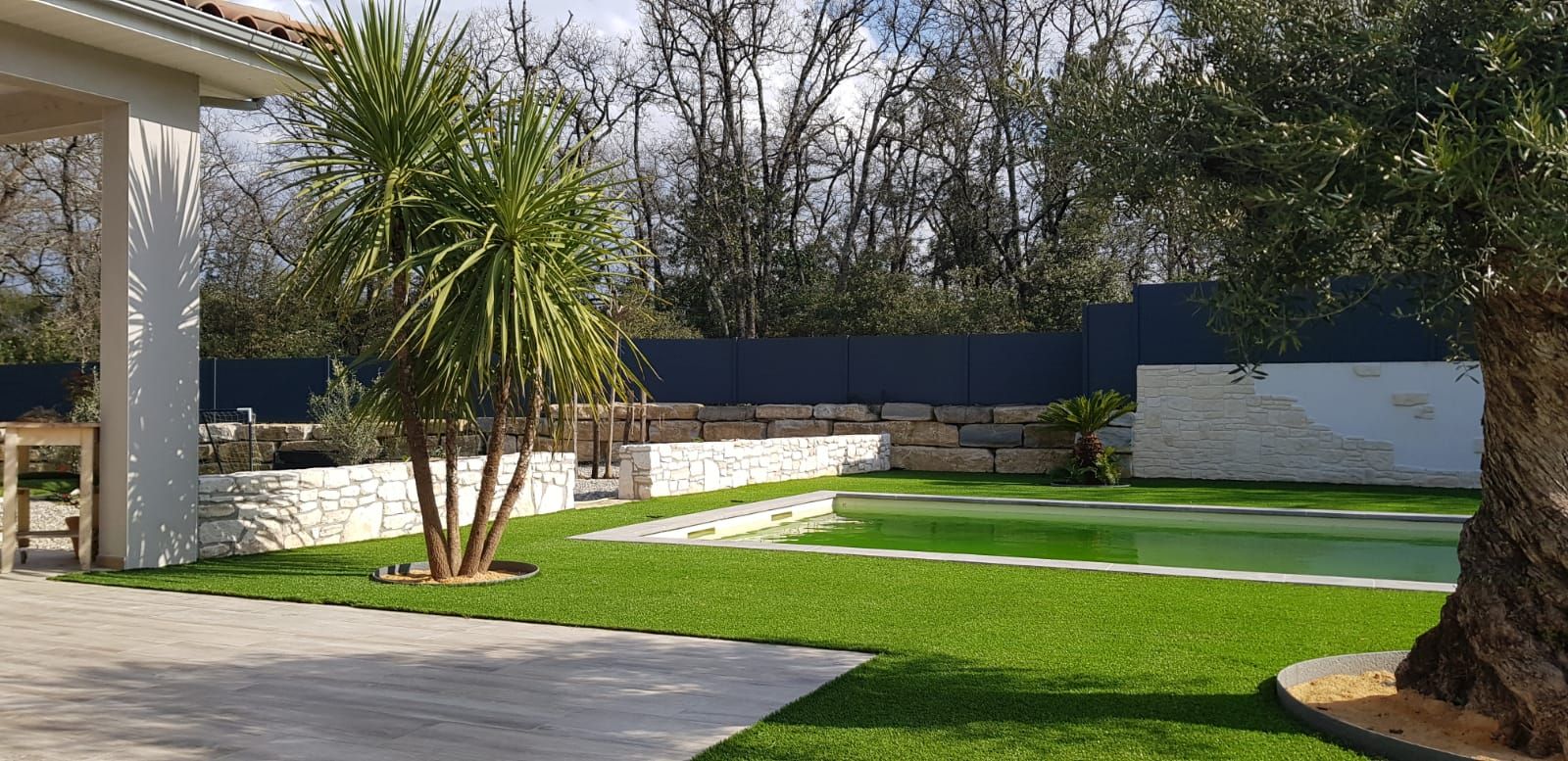 Jardin avec piscine, palmiers et olivier sur gazon synthétique